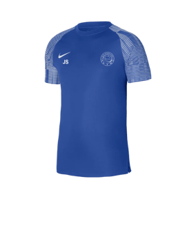 Nike Academy Trikot Blau Weiss F463