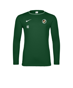 Nike Park 26 Longsleeve Grün F302