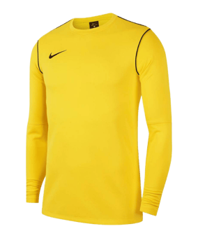Nike Park 20 Sweatshirt Kids Gelb Schwarz F719 - gelb