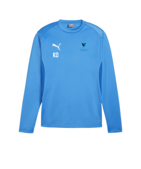 PUMA teamGOAL Training Sweatshirt Blau F02