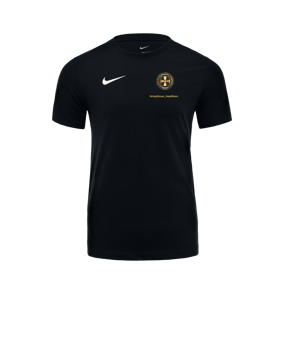Nike Park 20 Dry T-Shirt Schwarz Weiss F010