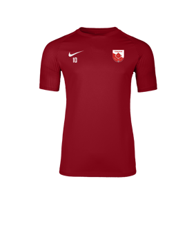 Nike Academy II Trikot Rot F657
