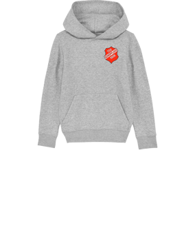 Merch Mini Cruiser 2.0 Hoody Kids H. Grey FC250