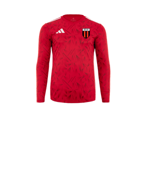 adidas Team Icon 25 Trikot langarm Kids Rot