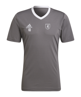 adidas Entrada 22 Trikot Grau Weiss