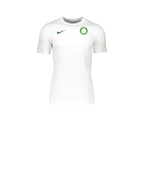 Maillot Nike Park VII blanc vert enfants F101 