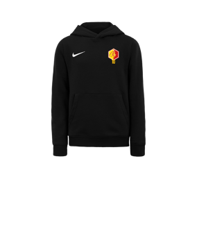 Sweat à capuche en polaire Nike Park 20 enfants Noir blanc F010