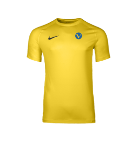 Nike Park VIII Trikot Gelb F719