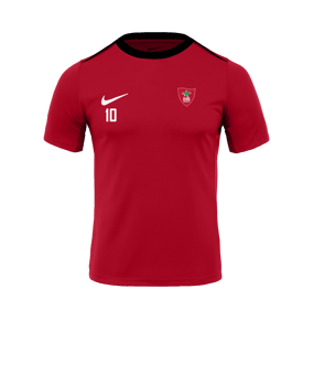 Nike Academy Pro 24 Formation Rouge C657 