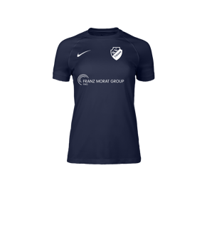 Nike Park VIII Trikot Damen Blau F410
