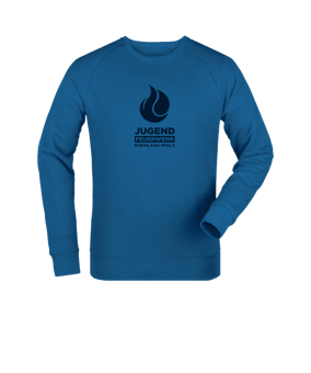Merch Roller Sweatshirt Royal Blue FC230