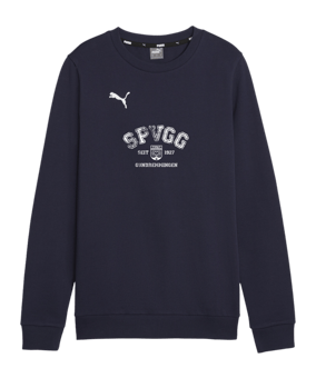 PUMA teamGOAL Casuals Sweatshirt Damen Blau F06