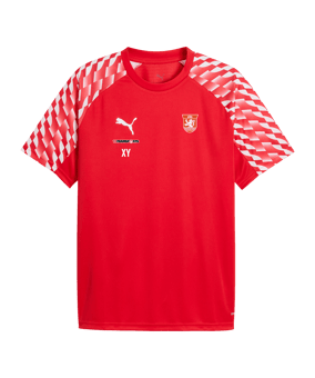 PUMA teamLIGA26 Trikot Rot F01