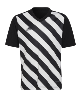 adidas Entrada 22 GFX Trikot Kids Schwarz Weiss - schwarz