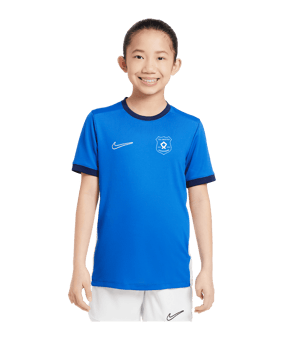 Nike Academy 25 Trainingsshirt Kids Blau F463