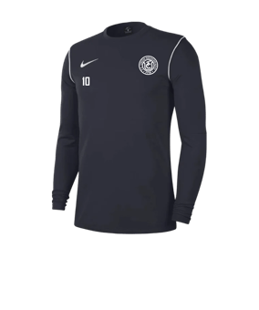 Nike Park 20 Sweatshirt Blau Weiss F451