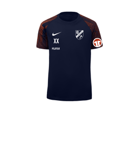Nike Academy Trikot Kids Blau Rot F411