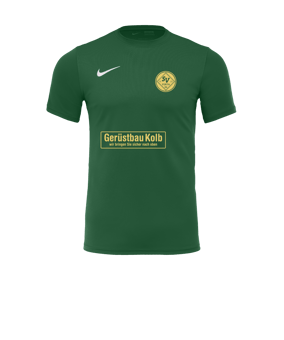 Nike Park VII Trikot kurzarm Grün F302