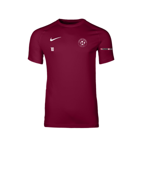 Nike Park VIII Trikot Rot F677