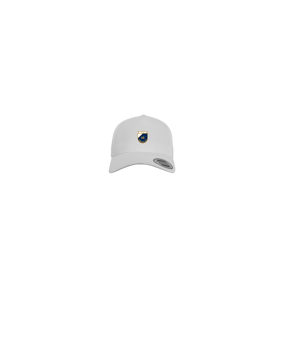 Merch 5 Panel Curved Cap Blau
