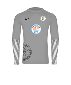 Nike Park V Torwarttrikot Langarm Grau F097