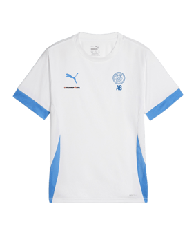 PUMA teamGOAL Matchday Trikot Kids Weiss Blau F12