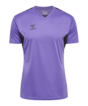 Hummel AUTHENTIC PL Trikot Grau F3766 - grau