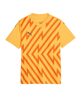 PUMA teamGLORY Trikot Kids Orange Schwarz F61 - orange