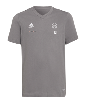 adidas Entrada 22 T-Shirt Kids Grau