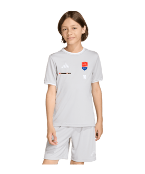 adidas Entrada 26 Trikot Kids Grau