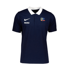 Nike Park 20 Poloshirt Blau Weiss F451