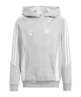 adidas Tiro 24 Hoody Kids Grau Weiss