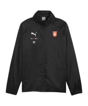 PUMA teamGOAL Allwetterjacke Schwarz Weiss F03