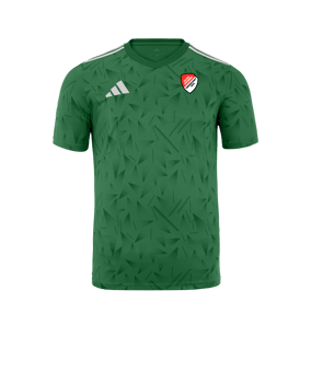 adidas Team Icon 25 Trikot Grün