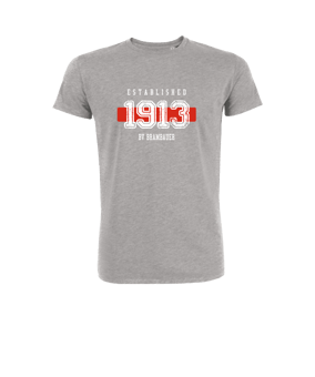 Merch Creator 2.0 T-Shirt Heather Grey | #established