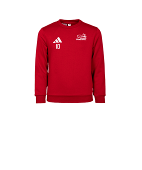 adidas Entrada 26 Sweatshirt Kids Rot