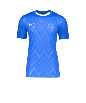 Nike Challenge V Trikot Blau Weiss F463