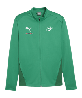 PUMA teamGOAL Trainingsjacke Grün F05