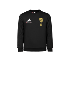 adidas Entrada 26 Sweatshirt Kids Schwarz