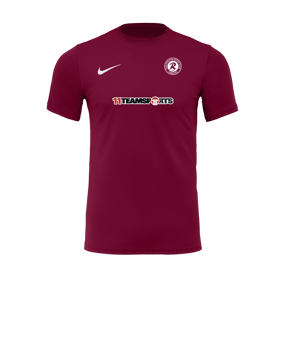 Nike Park VII Trikot kurzarm Rot F677