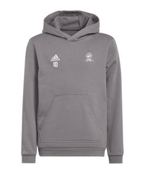 adidas Entrada 22 Hoody Kids Grau