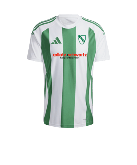 adidas Striped 24 Trikot Weiss Grün