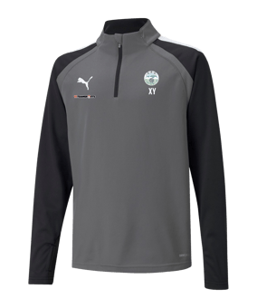 PUMA teamLIGA HalfZip Sweatshirt Kids Grau F13