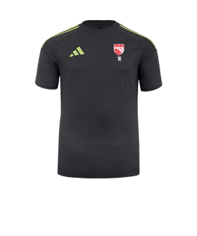 Maillot de gardien adidas Tiro 25 Competition gris 
