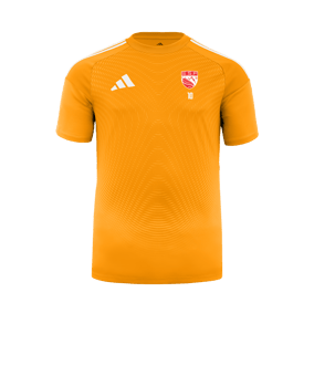 Maillot de gardien adidas Tiro 25 Competition orange