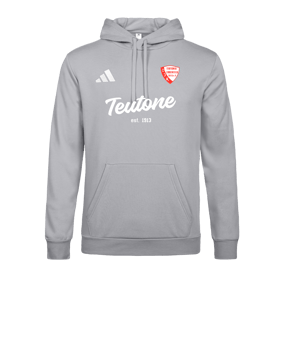 adidas Entrada 26 Hoody Grau