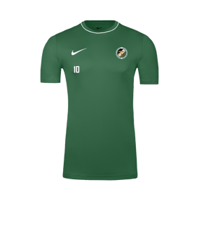Nike Park 26 Trainingsshirt Grün F302