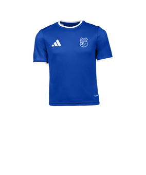 adidas Entrada 26 Trikot Kids Blau