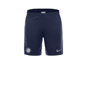 Nike Park III Court Bleu C410 