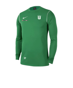 Nike Park 20 Sweatshirt Grün Weiss F302